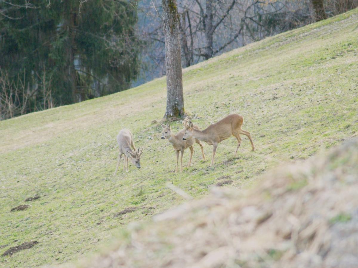 דירות בארטהולומאברג Haus Gruener Wald מראה חיצוני תמונה